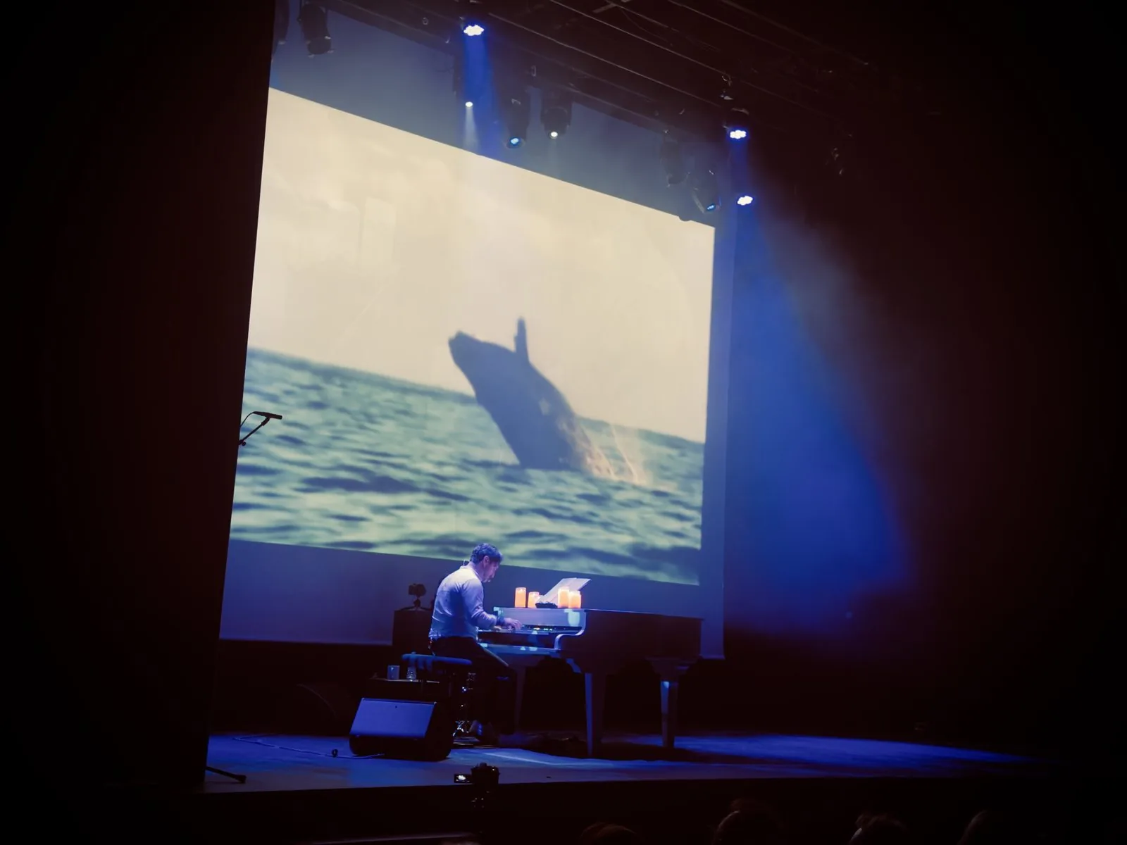 Les images en grand format — photo : Natis